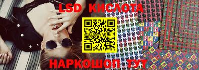 шишки Лесосибирск