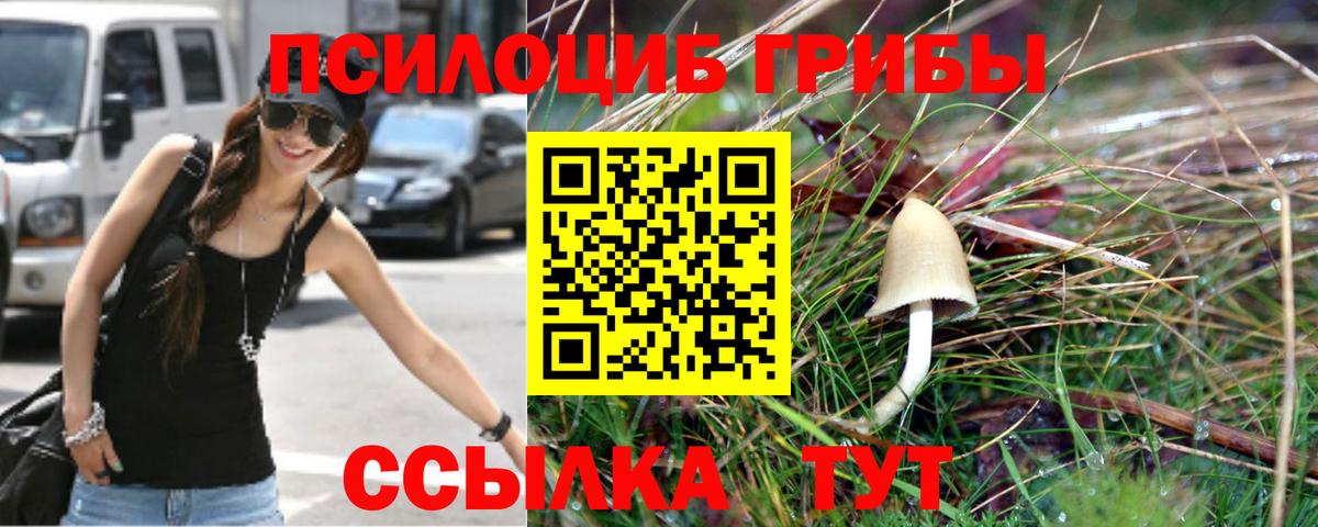 где можно купить наркотик  Вход с VPN  Ялта  Галлюциногенные грибы GOLDEN TEACHER 