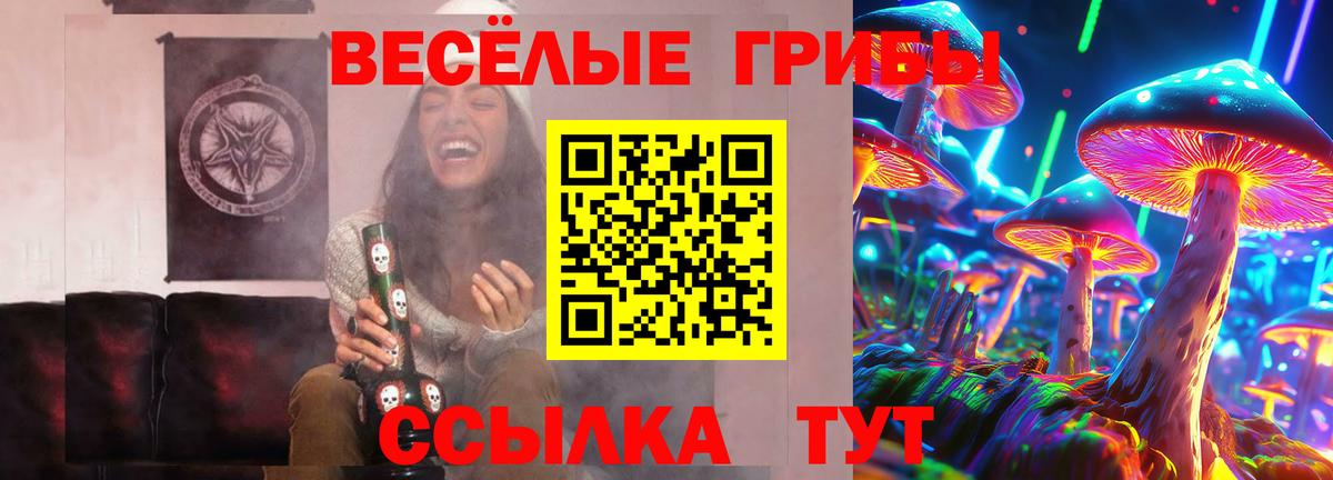 Галлюциногенные грибы Cubensis Ялта
